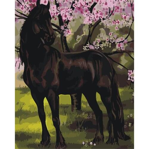 Vivac Truee Diy Painting By Number Canvas Kits Cat Decor For Home Frameless Acrylic Paint Coloring By Numbers Animal Handpainted