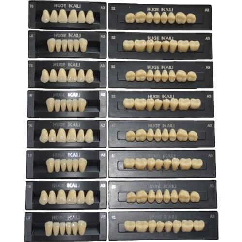PMMA Resin Teeth Denture Teeth Synthetic Polymer Dental Material with A2 Full Set