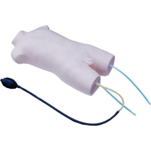 Child Femoral Vein and Femoral Artery Puncture Training Model