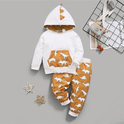 0-24Months Unisex Baby Girl Boy 2Pcs Outfits Autumn Newborn Toddler Long Sleeve Dinosaur Print Hoodie Top + Pants Set