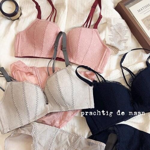 Lace Lingerie Set Fashion Push Up One-Piece Seamless Underwire Bra And Panties Skirt Sexy Women Sexy Girls Bra And Briefs Sets