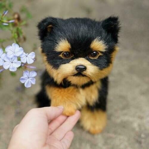 3D Realistic Simulation Dog Plush Yorkshire Doll Stuffed Animal Kids Accompany Toy Gift Home Decor Ornaments Photo Props