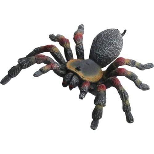 Realistic 3D Spider Wild Insect Model Prank Halloween Prank Trick Joke Toy Prop Kids Children Toys Gift Tabletop Ornaments