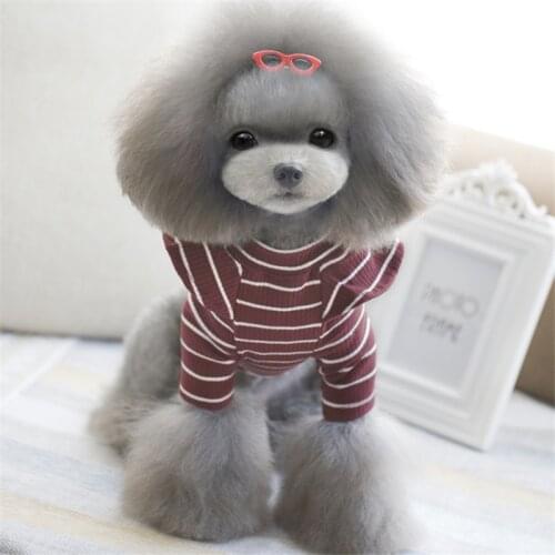 Pet Products Supplies Clothing Fashion Girl Dog Cat Puppy Spring Autumn