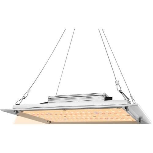 LED Plant Lamps KQO China