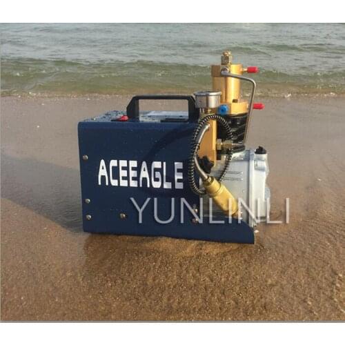 220V High Pressure Air Pump Electric Water Cooled 1.8KW Air Pump Copper Wire Motor