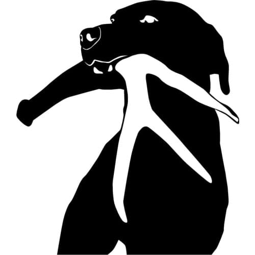 40650# Die-Cut Vinyl Decal Tracking Dog Car Sticker Waterproof Auto Decors on Car Body Bumper Rear Window