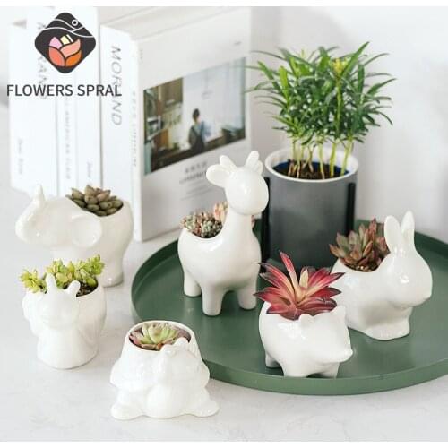 Ceramic Planting Vases, Succulent Planting Cute Vases, Balcony Window Sill Art Planting Utensils For Friends And Girlfriends