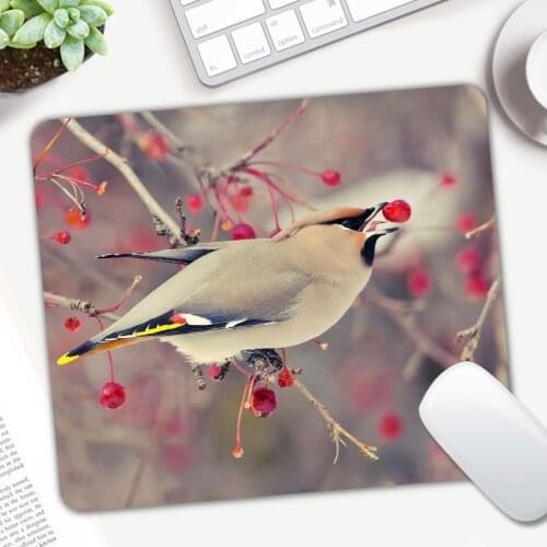 Cute Bird Gaming Small Size Mouse Pad Gamer Computer Mousepad Game Keyboard Mice Mat Office Decoration Home Mouse Pad