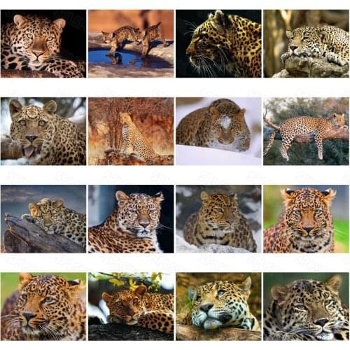 Diy Diamond Painting Wild Animals National Protected Animals Leopard Sofa Background Wall Painting Living Room Bedroom Painting