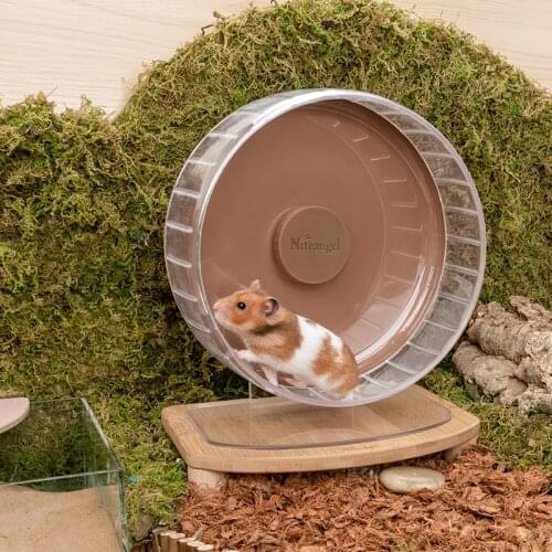 Adjustable Height Super Silent Hamster Running Wheel Hamster Toy Golden Bear Large Size Running Wheel Hamster Accessories