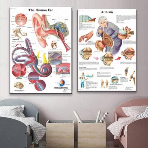Human Anatomy Muscles System Art Poster Print Body Map Canvas Wall Pictures for Science Medicine Bedroom Decor