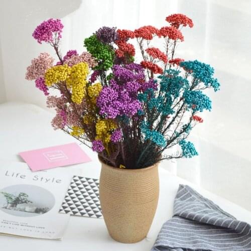 High Quality Ozothamnus diosmifolius Dried Everlasting Preserved Flower Bride Bouquet Home Wedding Christmas New Year Decoration