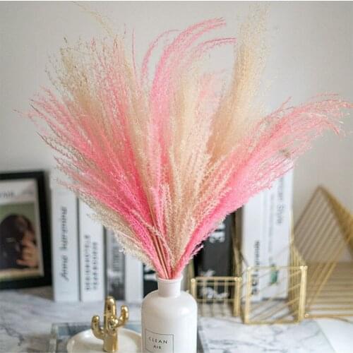 Pampas Grass Decor White Pink Fluffy Natural Dried Flowers Bulrush Real Wheat Decoration Artificial Plants Bouquet Home Party