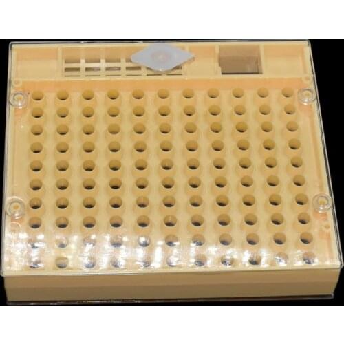 5 pcs Nicot Bee Beekeeping Tools Apicultura Honey Nicot Queen Bee Rearing System For Beekeeping Cage Plastic