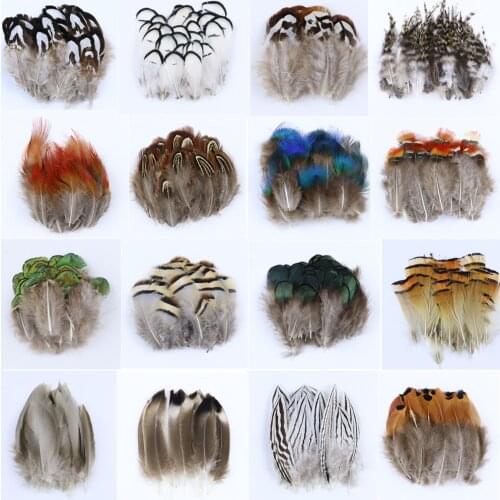 Wisethers High Quanlity Peacock Feather Real Pheasant Plumes Diy Jewelry Carnival Clothing Hat Decoration