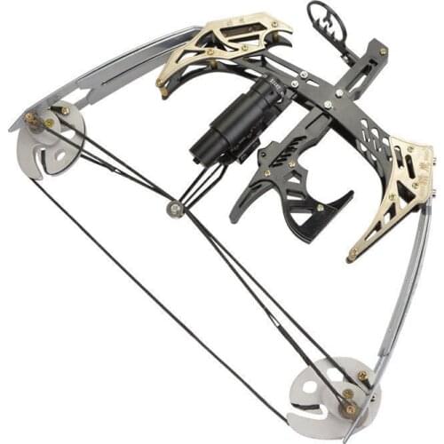 Outdoor Shooting Fishing Mini Osprey Compound Pulley Bow And Arrow Outdoor Fish Shooting Suit Small Archery Equipment