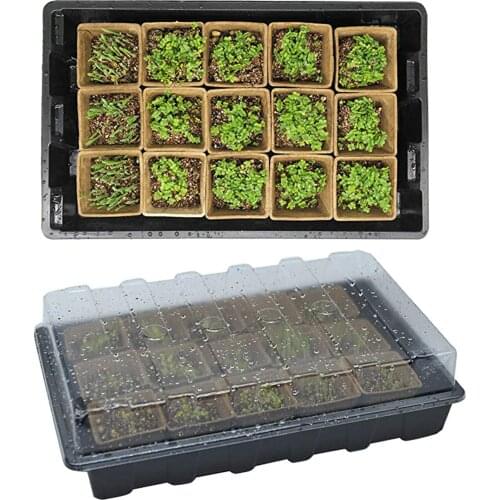 Seedling Tray Set with Transparent Lid Plant Germination Healthy Plastic Accessory