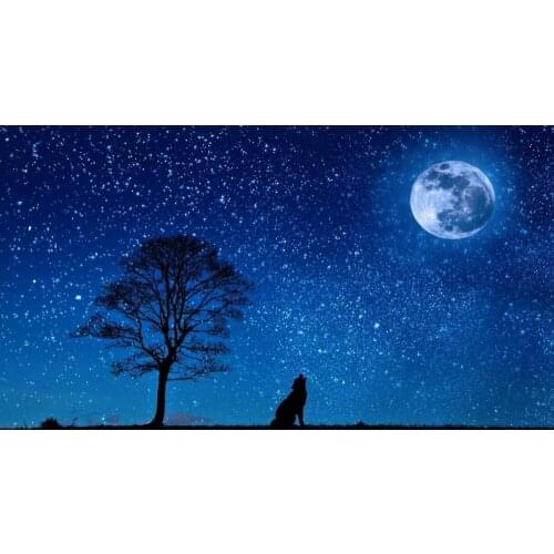 Wolf Night Moon Stars Giant Art print Silk poster Home Wall Decor