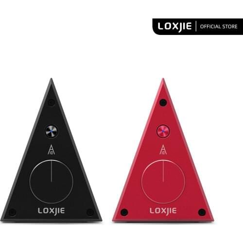LOXJIE A10 Desktop Stereo High Power Amplifier Digital Class-D Audiophile Level Amp Chip TPA3116 DC 19V-24V Analog Input