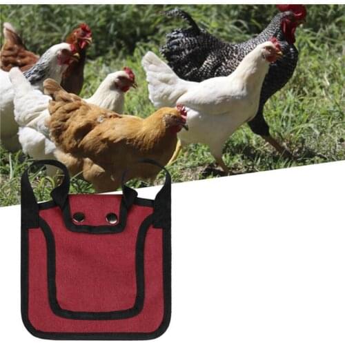 Chicken Saddle Apron Hen Back Protection Backyard Poultry Chicken Feather Protector Jackets With Elastic Strap Cloth Cover