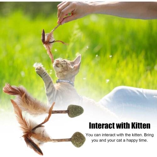 Mutian Polygonum Ball Cat Dog Toy Pet Molar Teeth Cleaner Cat Grass Ball Cat Snacks Catnip Ball Spit Hair