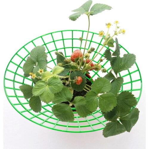 6pcs Round Plastic Strawberry Stand Balcony Grow Vegetables Fruit Climbing Pillar Gardening Bracket Plant Cages & Supports