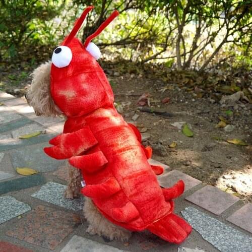 Pet Clothes Dog Hoodies Coat Cute Clothes Fashion Dog Clothes For Dogs Coat Hoodie Sweatshirt Dog Clothing Cartoon Pets Clothing