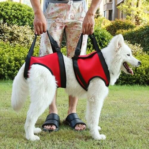 Dog Lift Rehabilitation Support Harness Assist for Elderly Disable Joint Surgery Pet Dog Sling Assist Belt Lifting Walking Aid H