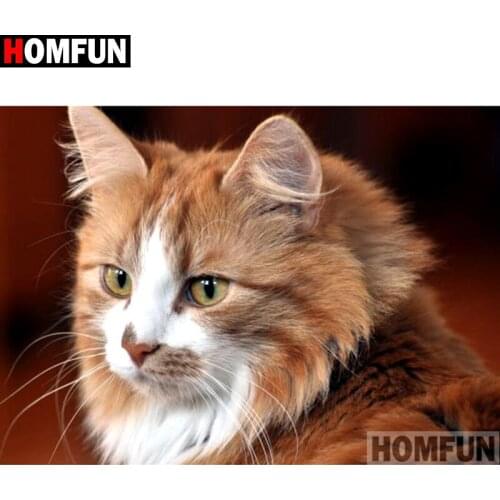 HOMFUN Full Square/Round Drill 5D DIY Diamond Painting "Animal cat" Embroidery Cross Stitch 3D Home Decor A10551