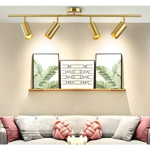Nordic Gold Wall Mounted led Ceiling Light Living Room Dining Room Home Spot Light Cloakroom Clothing Store Cafe led Lighting