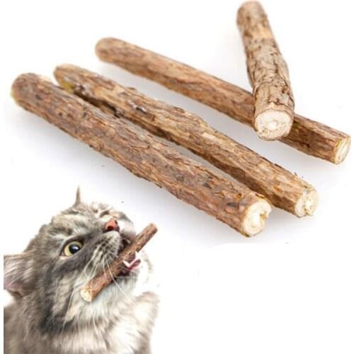 Natural Matatabi Actinidia Fruit Pet Cat Molar Toothpaste Stick Cleaning Teeth Cat Snacks Sticks Pet Supplies
