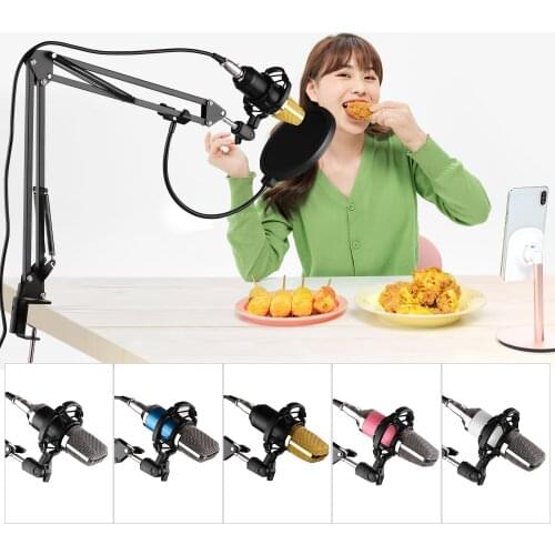 Professional Broadcasting Studio Recording Condenser Microphone Kit with Mic Windscreen + Shock Mount + Adjustable Suspension