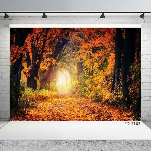 Fallen Leaves Autumn Forest Alley Sunshine Photography Backdrop Vinyl Backgrounds Photo Studio for Children Portrait Photophone