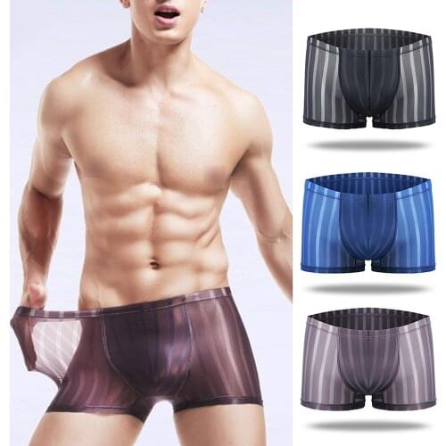 Boxer Mens Underwear Boxers Hot Sexy Stripe Mens Mesh Transparent Boxer Low Waist Ultra-thin Ice Silk Sexy Breathable Underpant