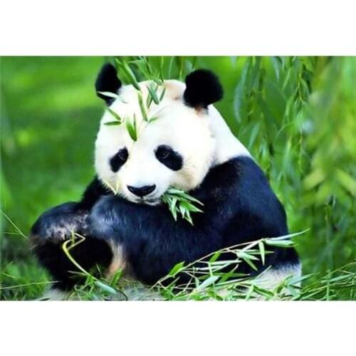 5D DIY Diamond Embroidery Panda Full Square Round Diamond Painting Animals Pictures Of Rhinestones Mosaic Art Home Decor DF253