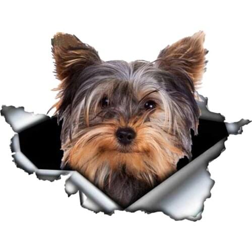 Self-adhesive Decal YorkshireTerrier V2 Car Sticker Waterproof Auto Decors on Bumper Rear Window B0092