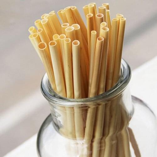 50/100Pcs Biodgeradable Wheat Straws Portable Eco-Friendly Disposable Drinking Straw 20cm Bar Home Party Supplies