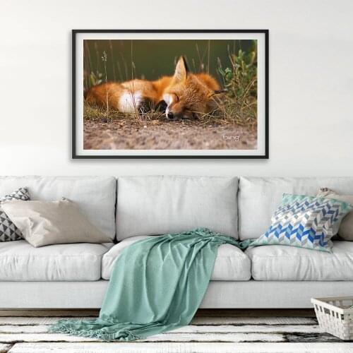 5D DIY Diamond Embroidery Fox Square Round Diamond Painting Cross Stitch Animal Crafts Home Decoration Gift