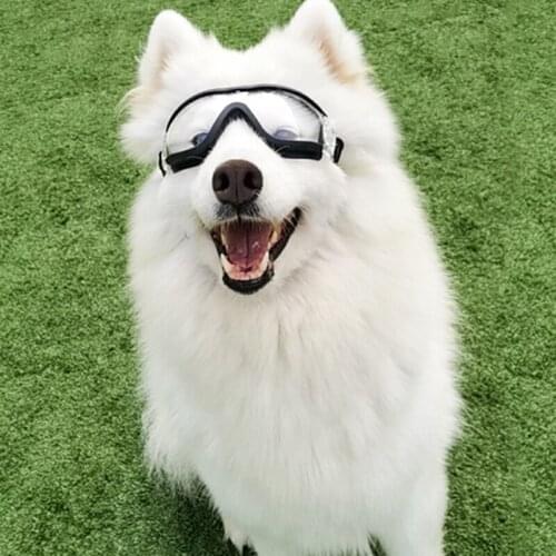 Pets Glasses 2021 Dogs Sunglasses Cat Wander Hiking Camping Fashion Parts Goggle Beach Poc Equipment Fishing Accessories очки