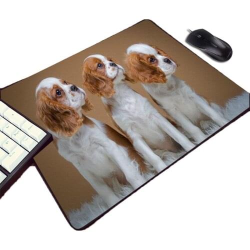 Mairuige Creative Diy Animals Pattern Rubber Mouse Pad for Dog Cat Pets Lovers To Decorate Desktop Mouse Mat Pad To Pc Keyboard