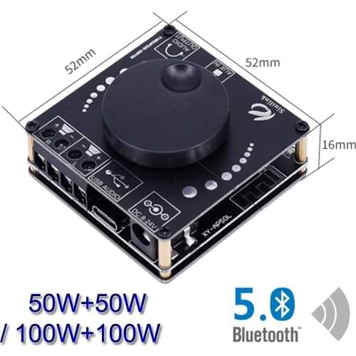 2*100W Bluetooth 5.0 HiFi Stereo Audio Power Amplifier 30W~300W TPA3116 Class D Mini USB Music Sound Card App Digital AMP