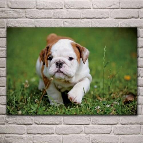 Animal cute lovely Dog KD686 Living room home wall art decor wood frame fabric posters
