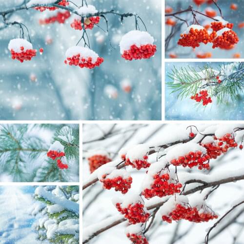 Diy Diamond Painting Cross Stitch Kit Red Fruit Snow Landscape 5D Mosaic Full Drill Rhinestone Embroidery Art Home Wall Decor