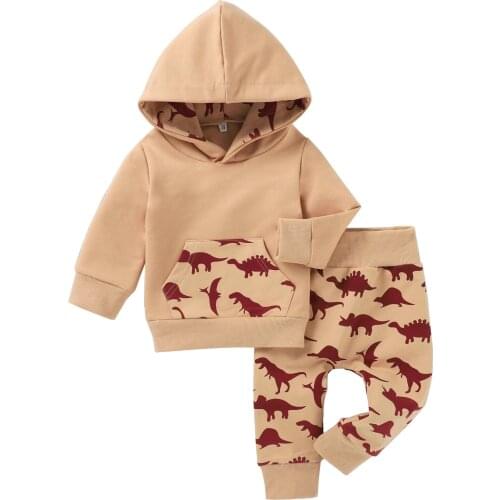 Baby Boys Clothes Set Kids Children Clothing Two-piece Khaki Dinosaur Printed Pattern Hooded Pullover and Elastic Waist Pants