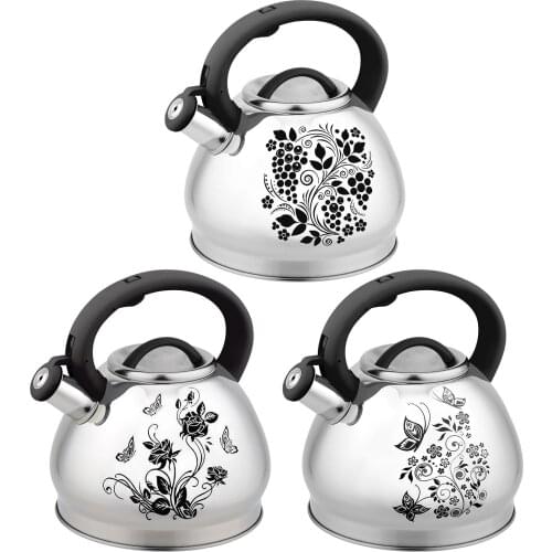 Stainless Steel Kettle Whistling Tea Kettle Coffee Kitchen Stovetop Induction For Home Camping Picnic Color-changing Kettle 3L