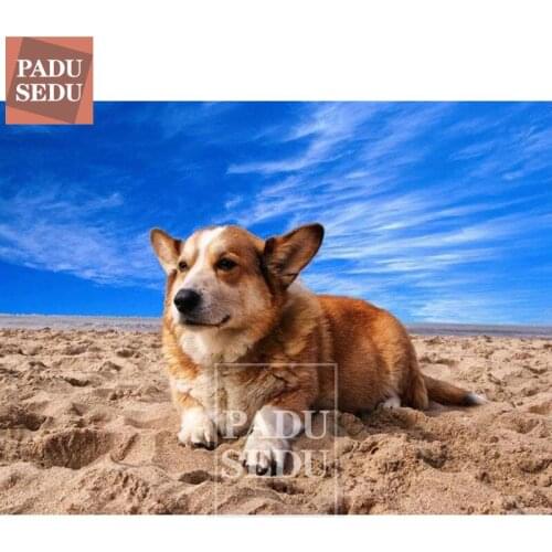 5D DIY Diamond Painting Full Set Square Dog Pictures For Living Room Picture Mosaic Diamond Embroidery Pet Dogs Rhinestone Gifts