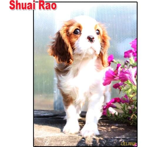 5d diy diamond painting Cavalier King Charles Spaniel Dogs cross stitch mosaic square/round diamond embroidery Cute Puppy Pet