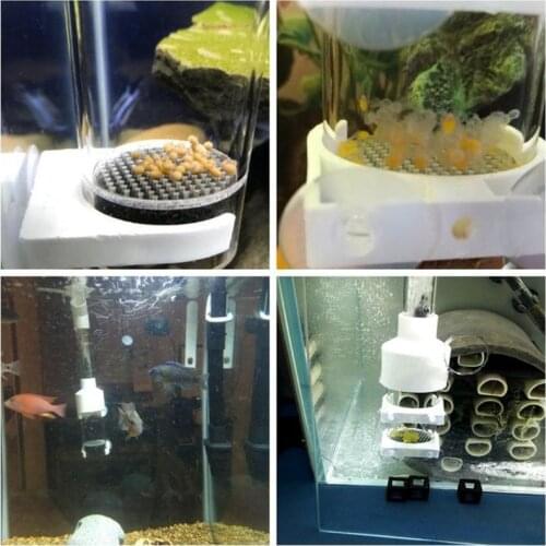 Aquarium Cichlids Tumbler Incubator Fish Hatchery Eggs Instead Mouth-Brooding