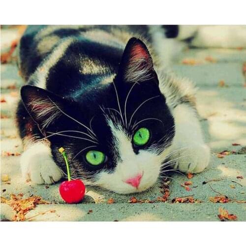 Full diamond painting black cat animals rhinestone embroidery landscape mosaic sticker decor diamond dots poster wall paper diy